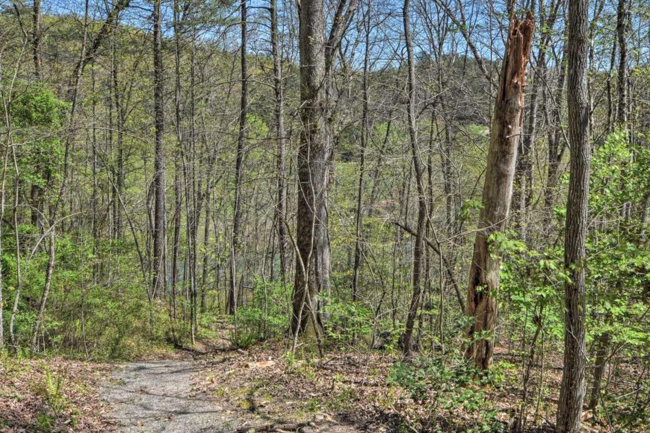 The Cottage At Camp Toccoa Blue Ridge Exteriér fotografie